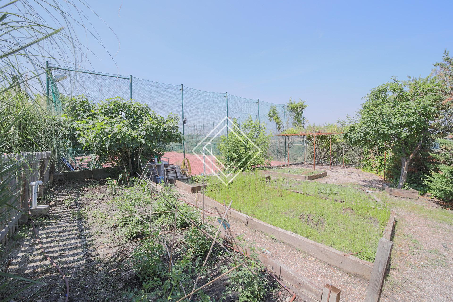 Imagen 16 de la propiedad