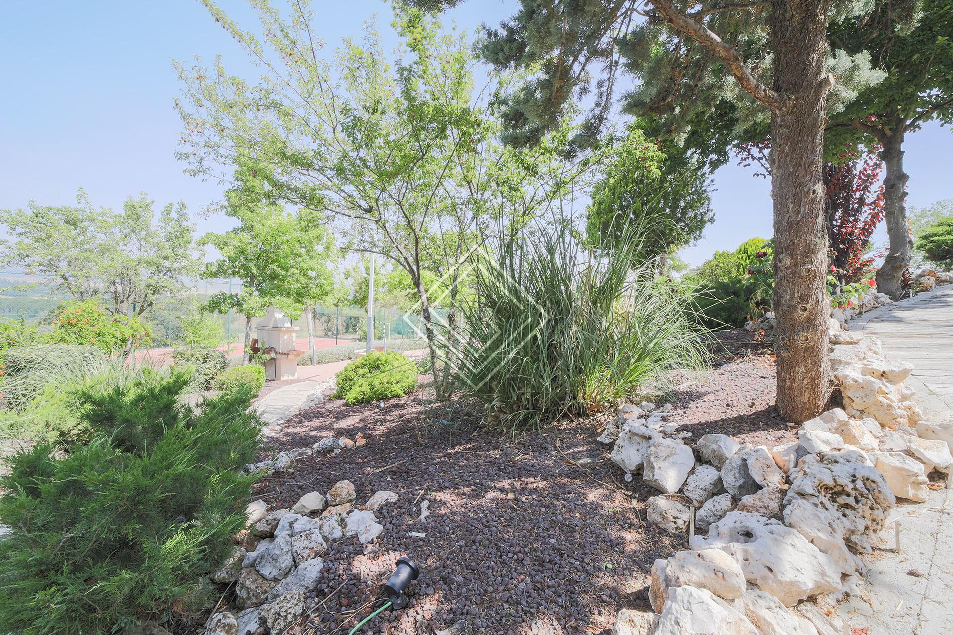 Imagen 50 de la propiedad