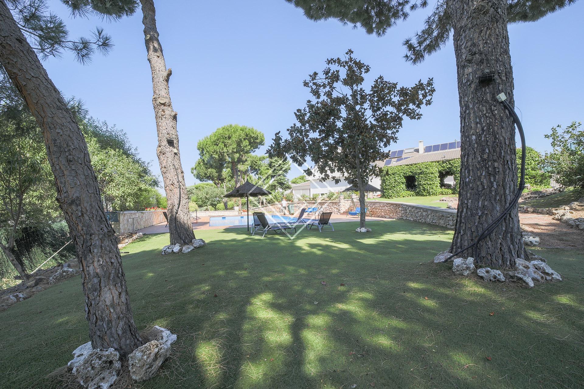 Imagen 34 de la propiedad