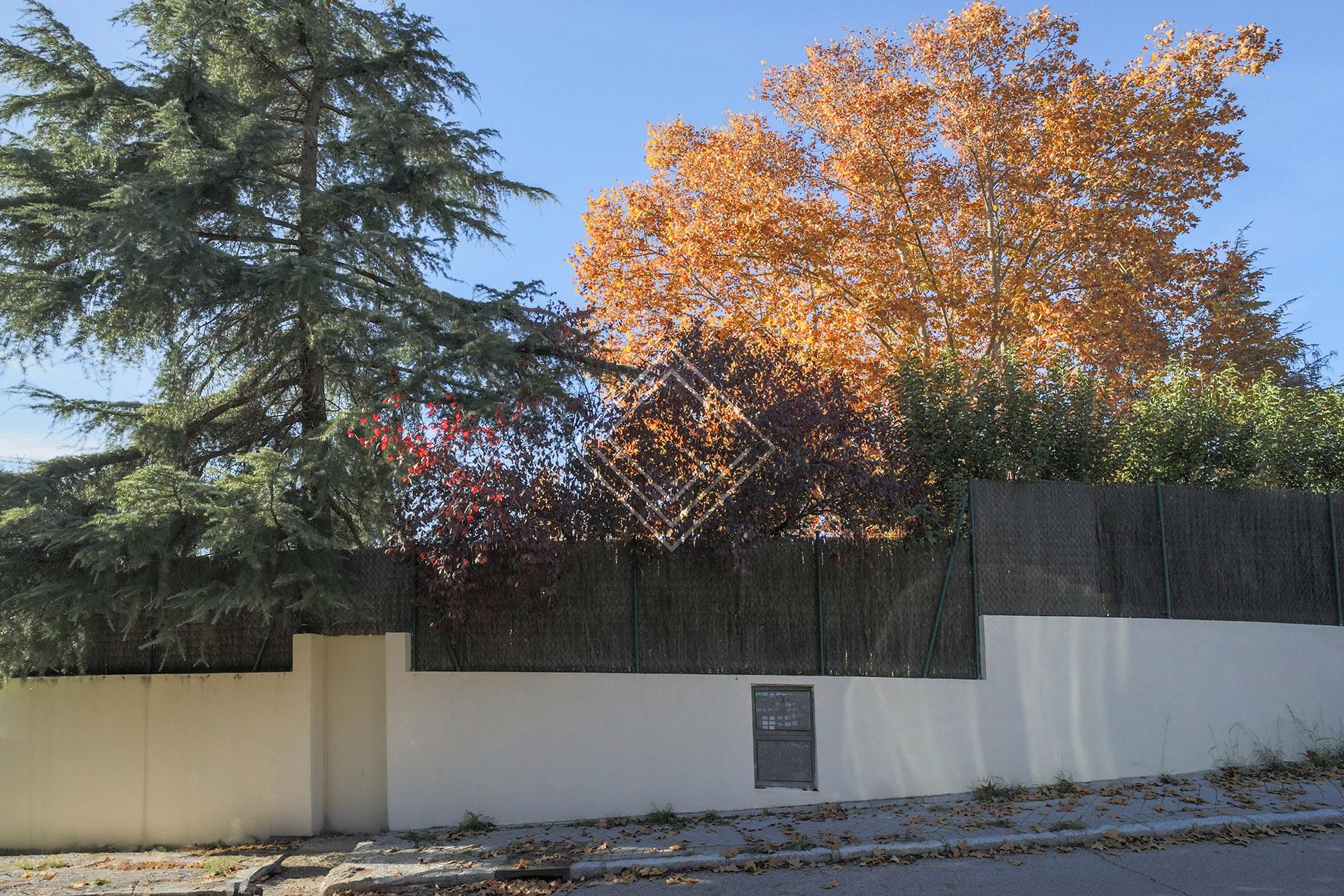 Imagen 12 de la propiedad