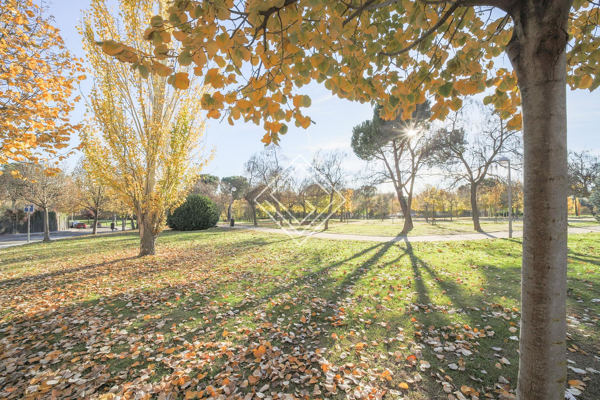 Imagen 33 de la propiedad