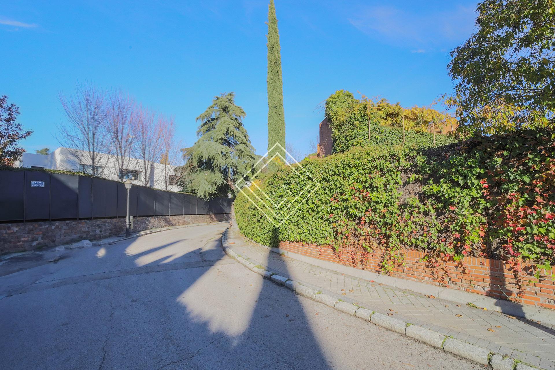 Imagen 25 de la propiedad