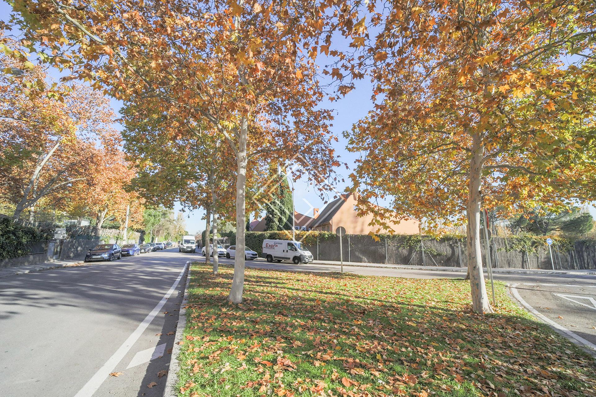 Imagen 32 de la propiedad