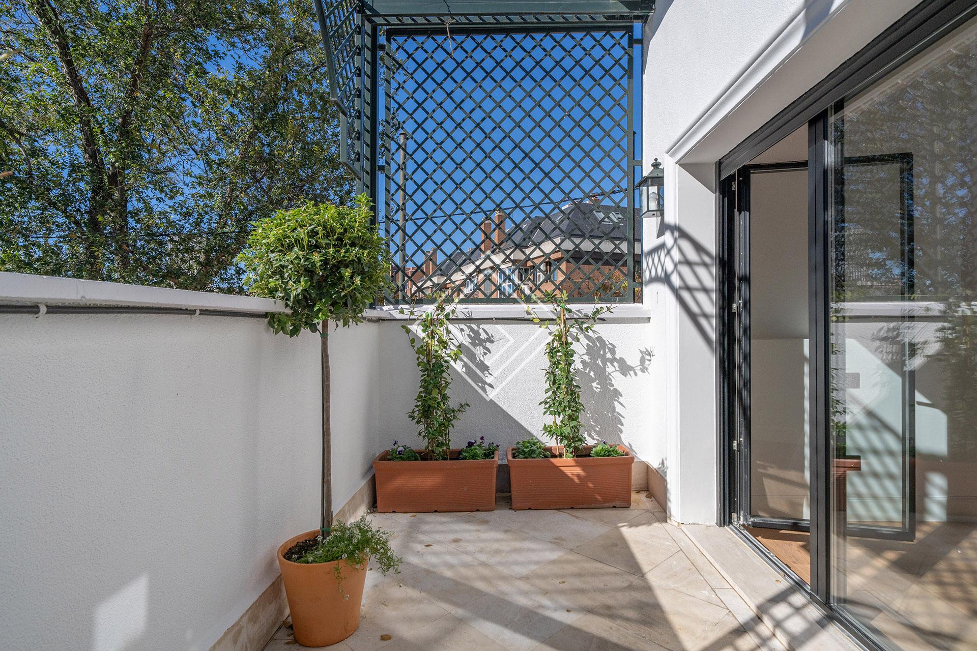 Imagen 35 de la propiedad