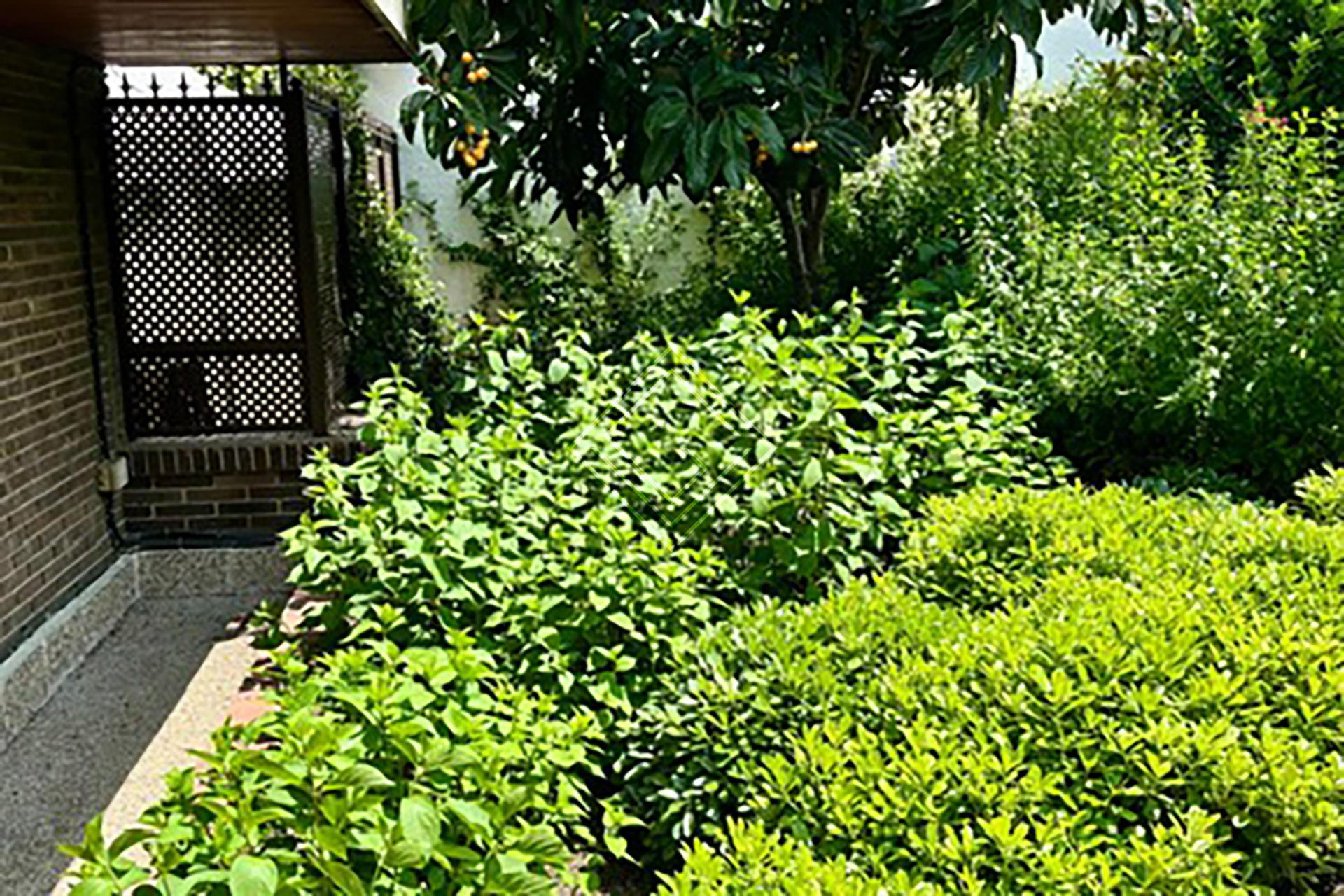 Imagen 8 de la propiedad