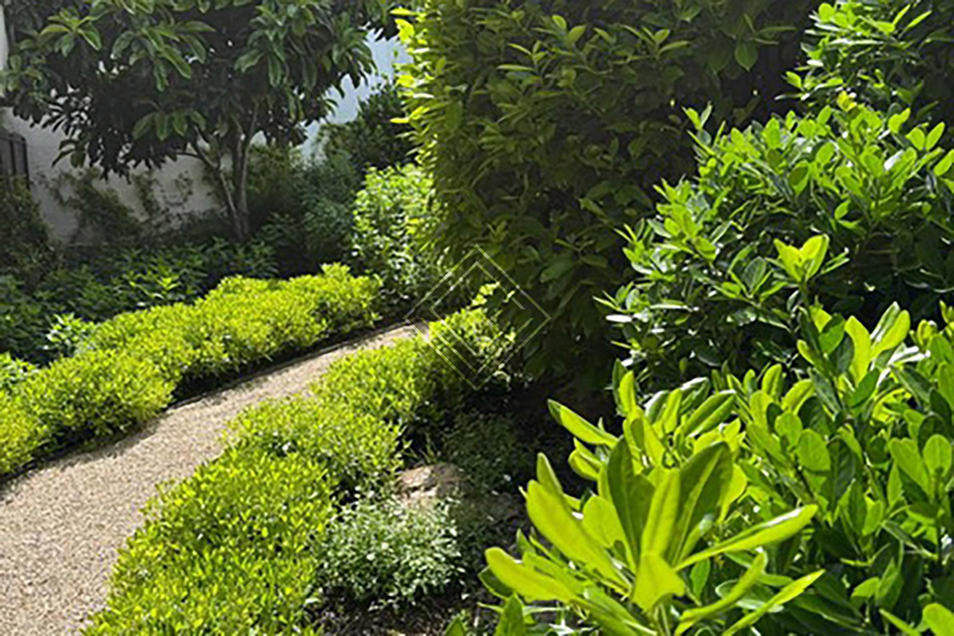 Imagen 5 de la propiedad