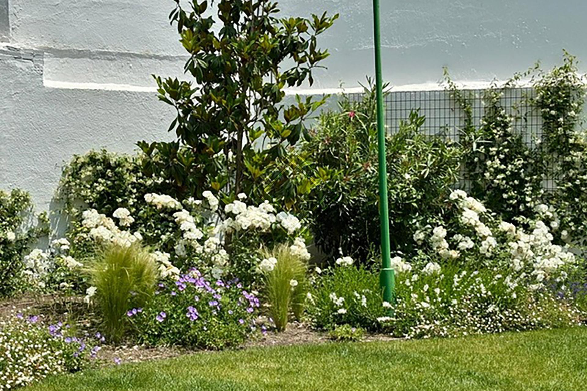 Imagen 13 de la propiedad