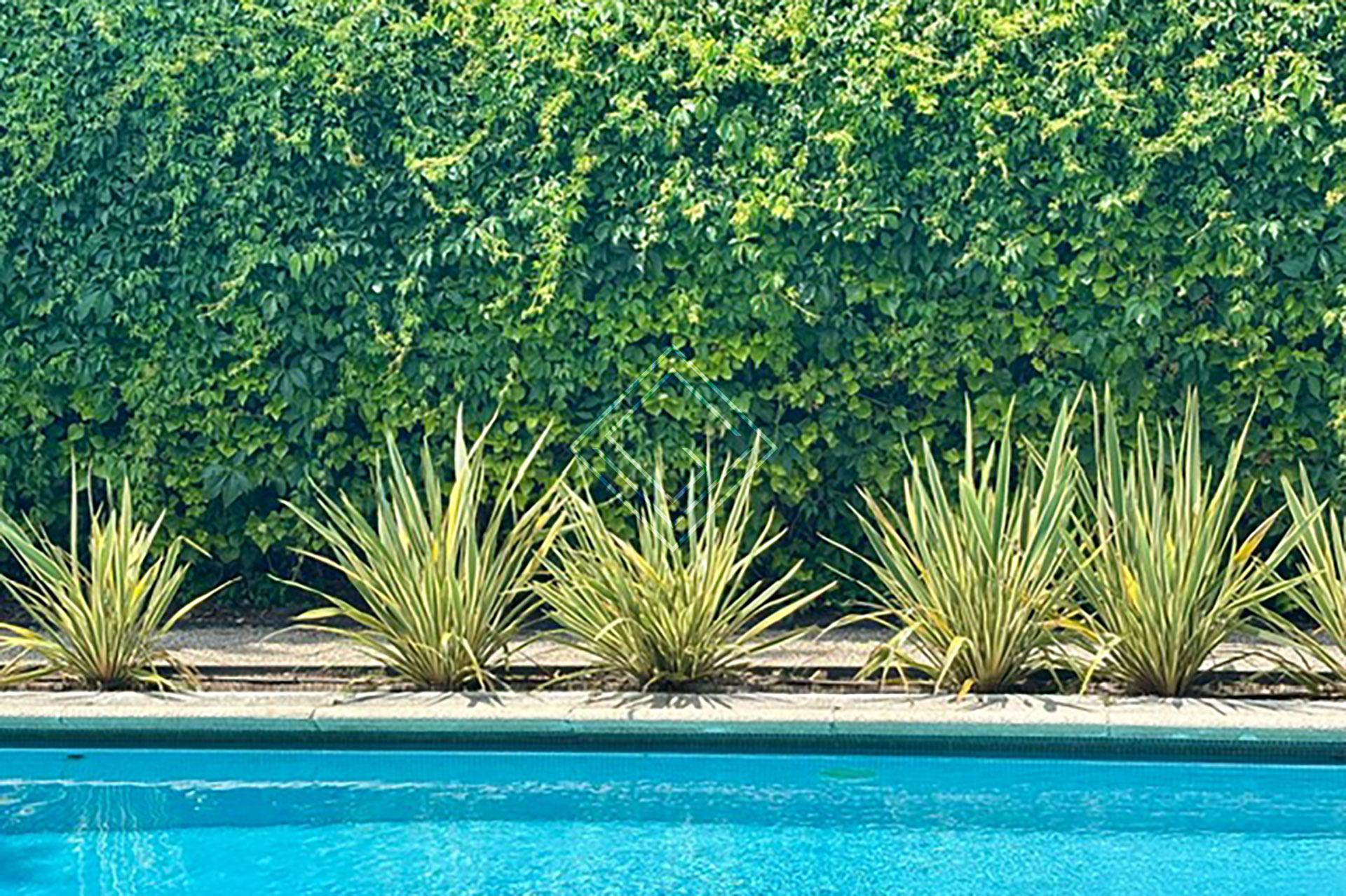 Imagen 10 de la propiedad