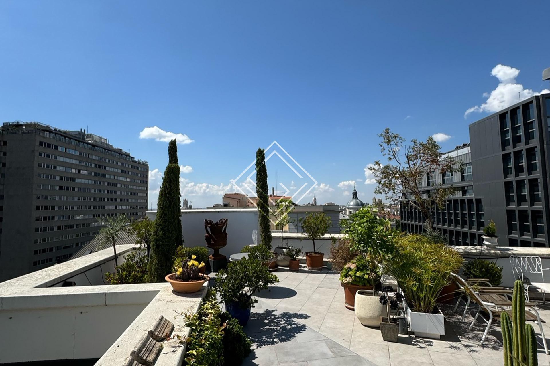 Imagen 9 de la propiedad