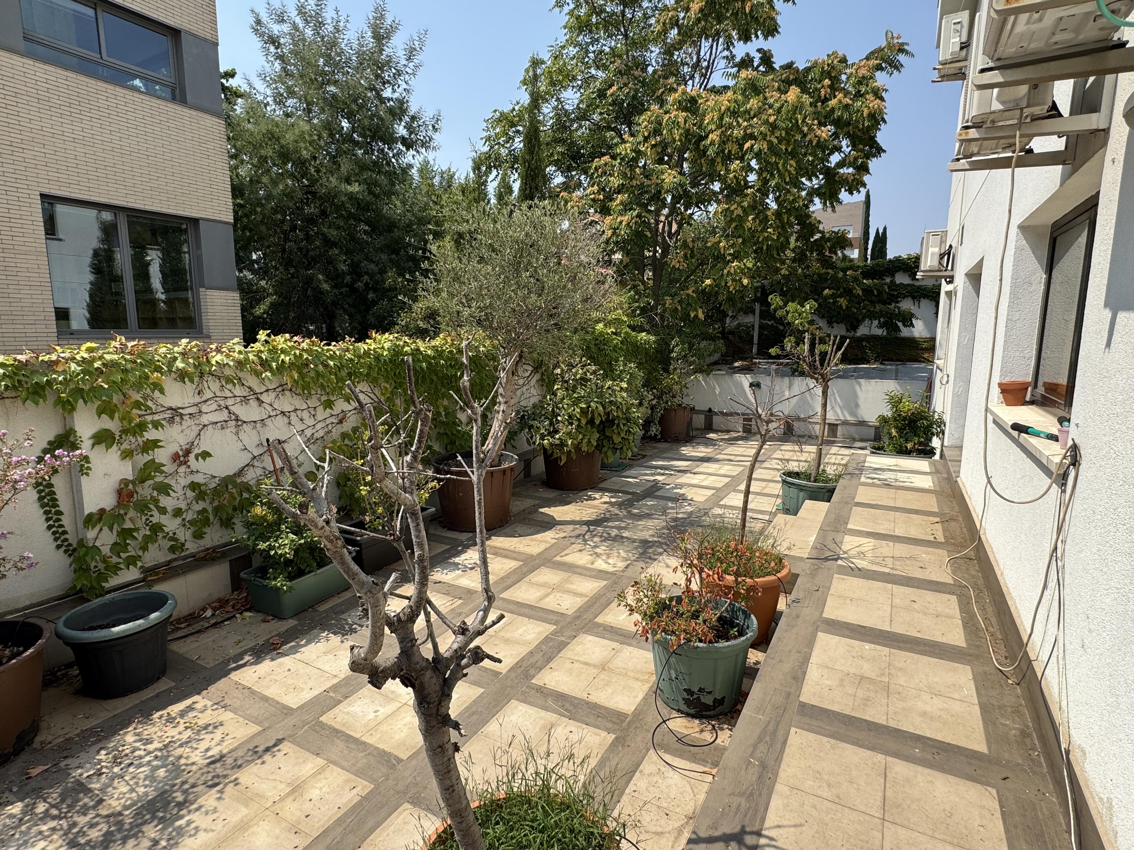 Imagen 6 de la propiedad