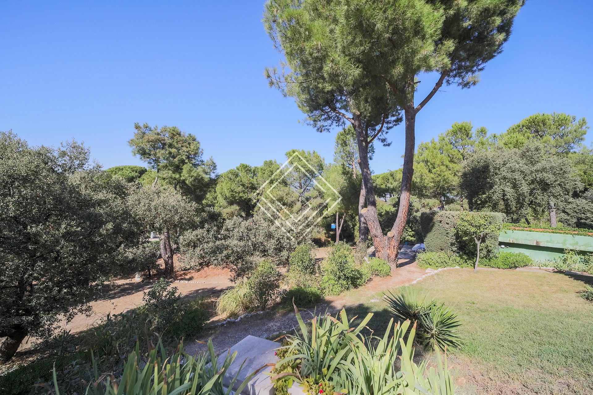 Imagen 8 de la propiedad