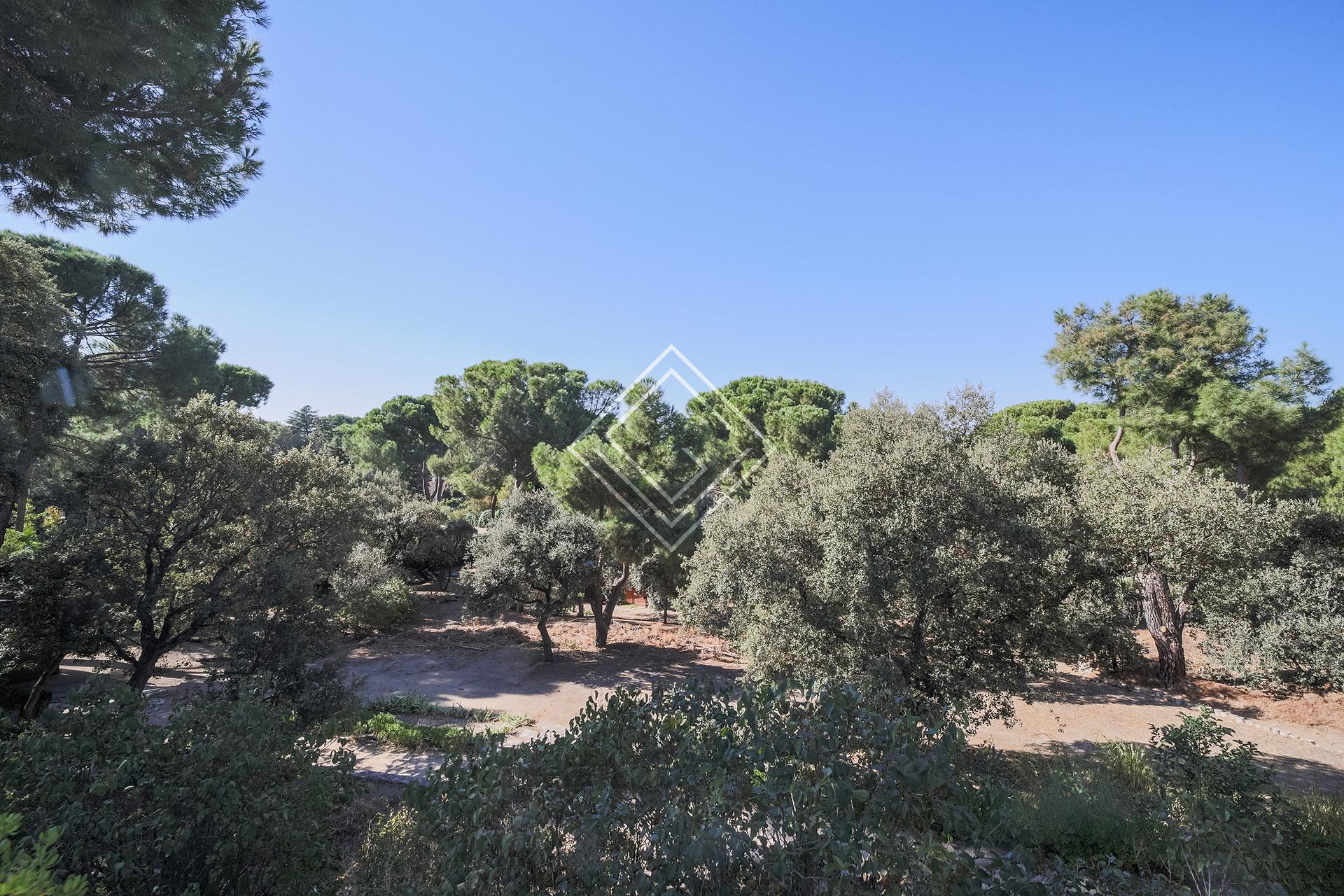 Imagen 7 de la propiedad