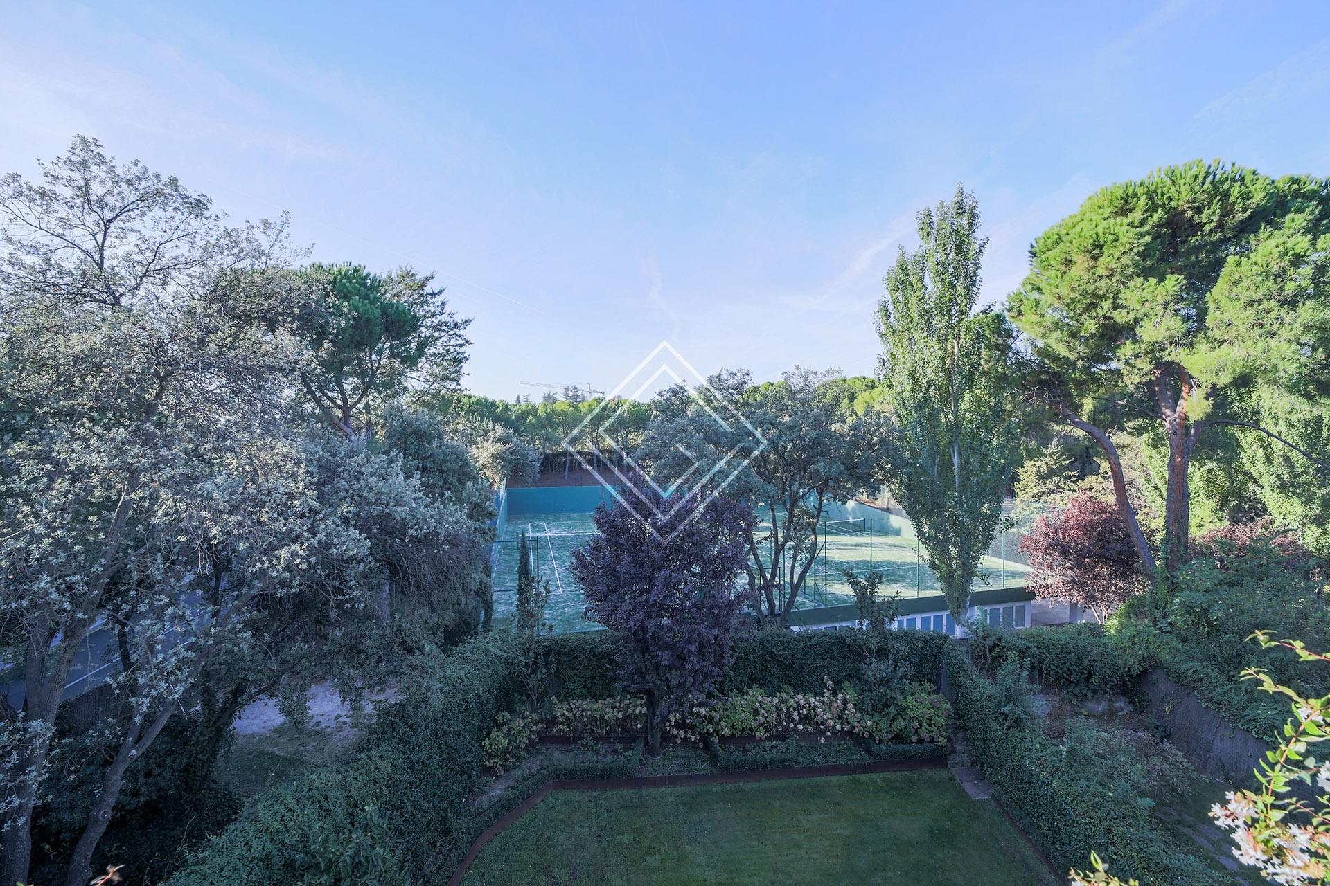 Imagen 46 de la propiedad