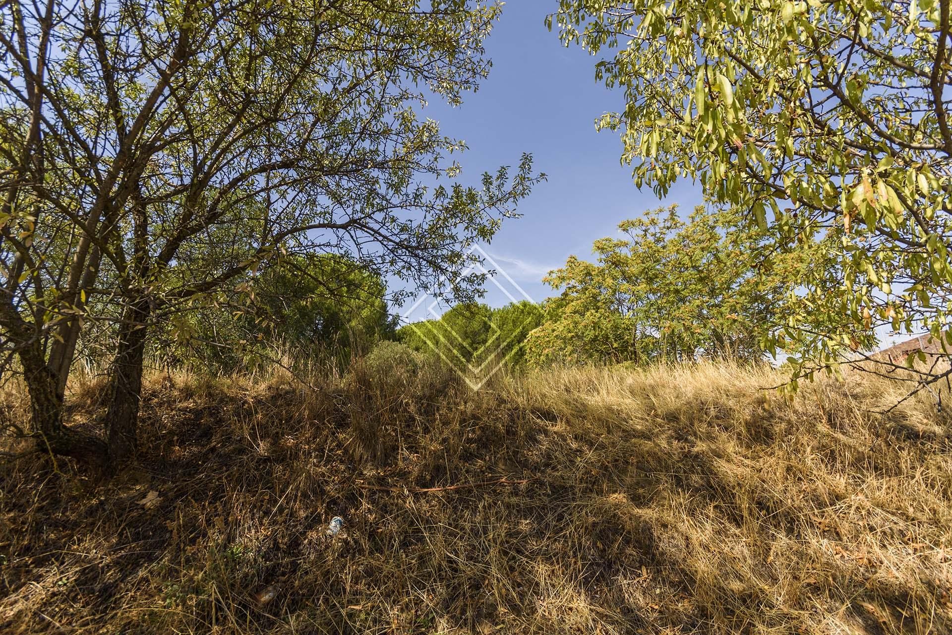 Imagen 1 de la propiedad