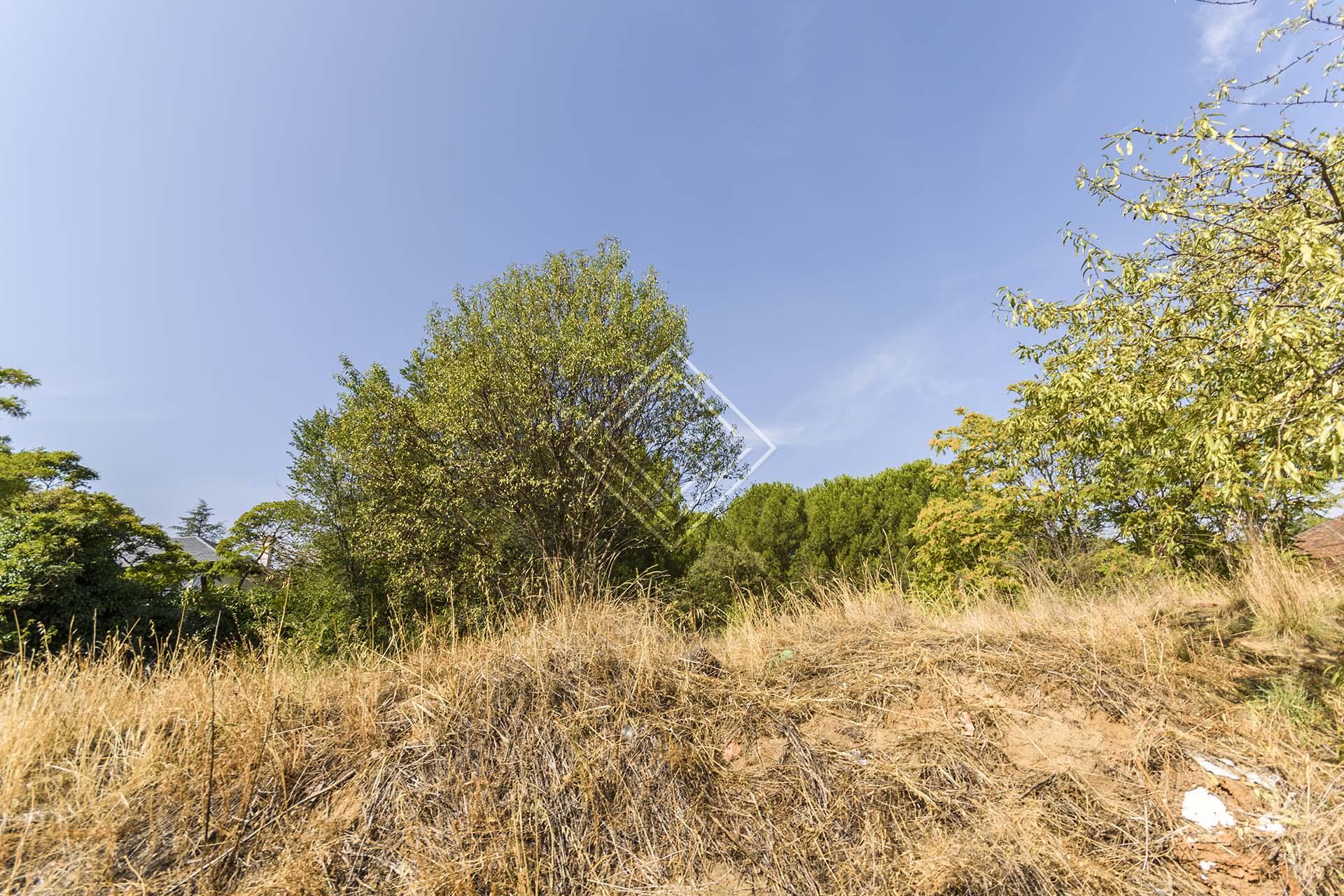 Imagen 3 de la propiedad