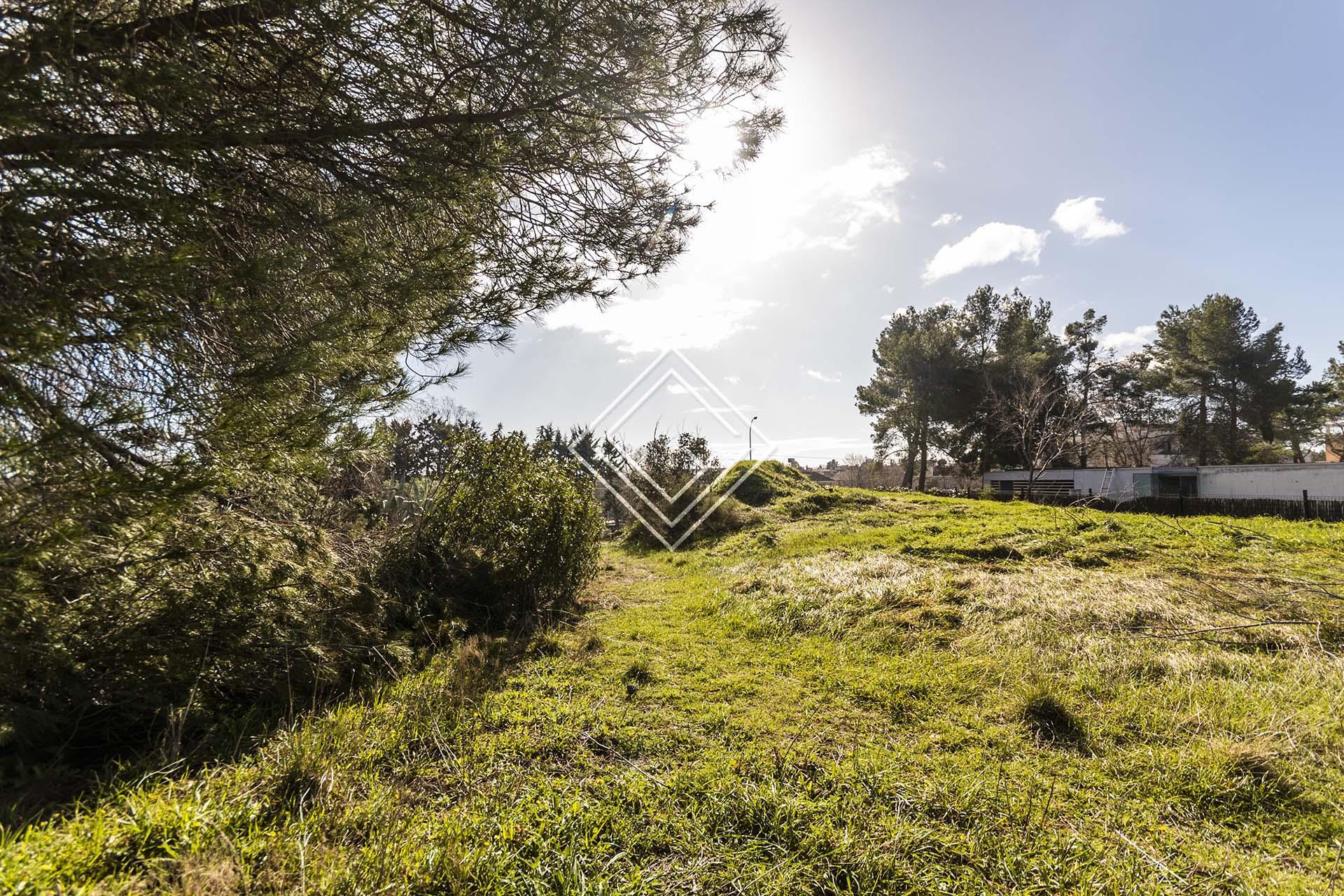 Imagen 4 de la propiedad