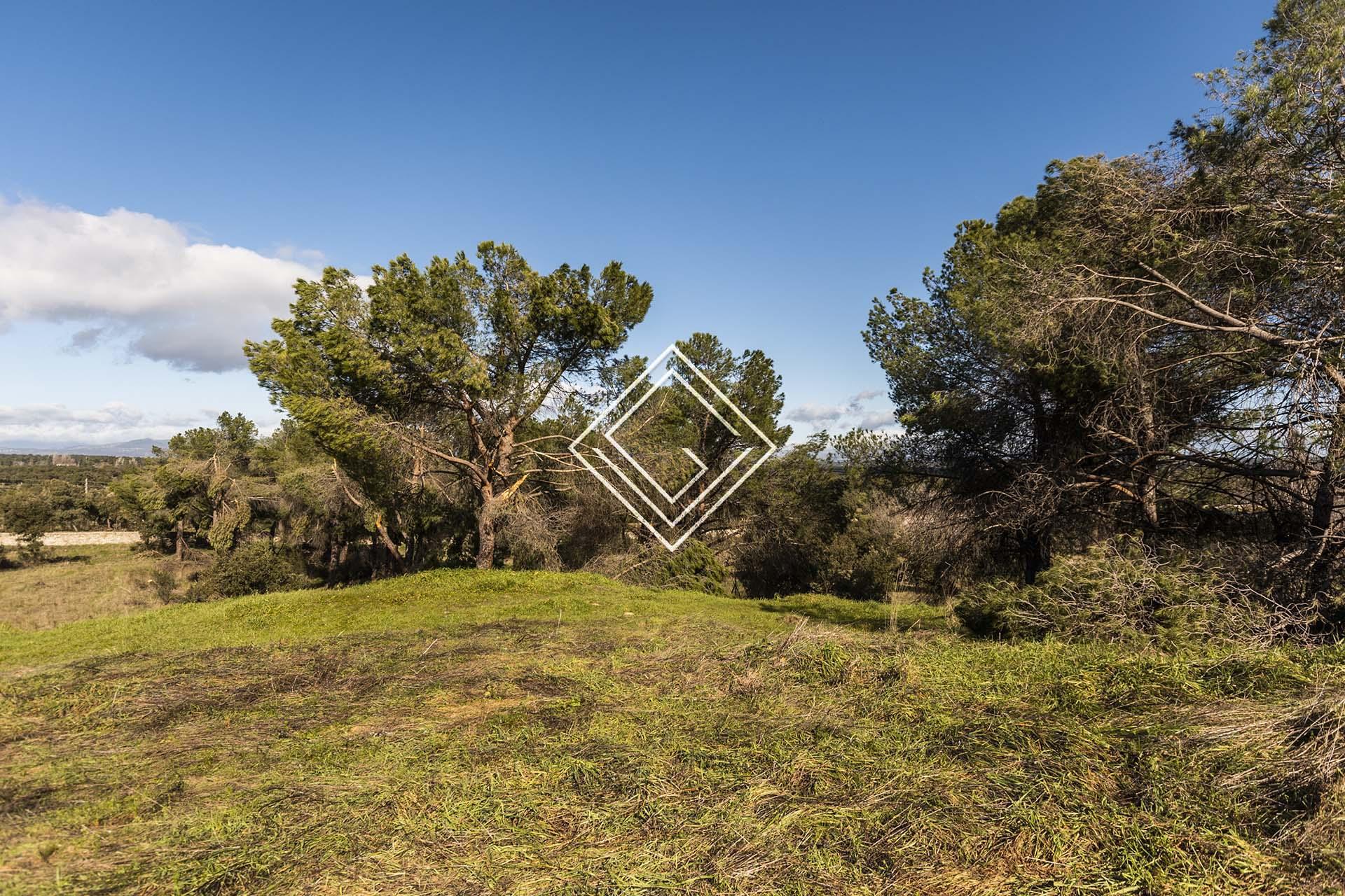 Imagen 1 de la propiedad