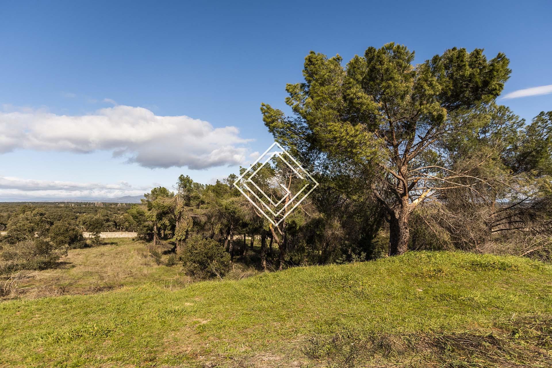 Imagen 4 de la propiedad