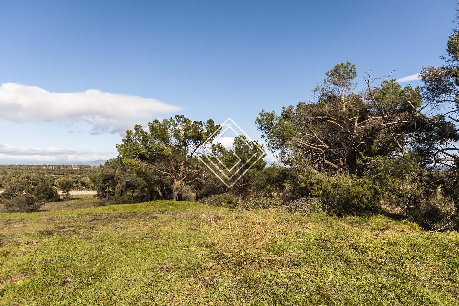 Imagen 3 de la propiedad