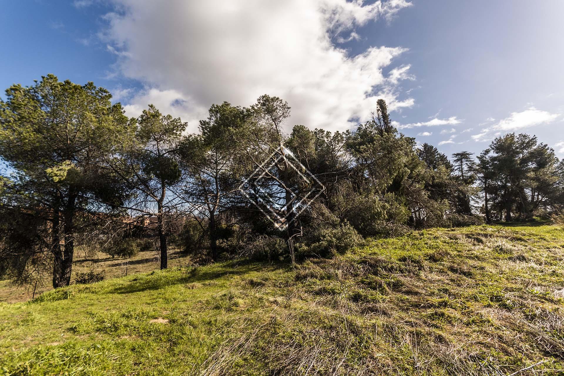 Imagen 1 de la propiedad