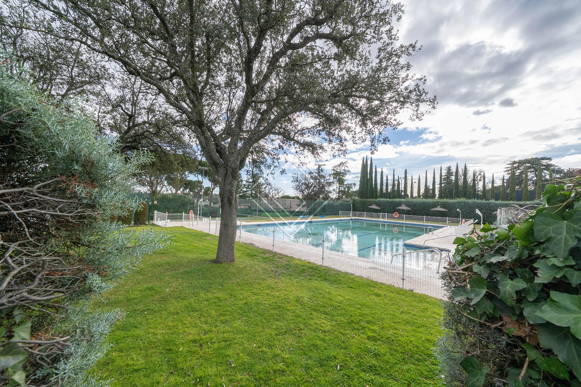 Imagen 51 de la propiedad