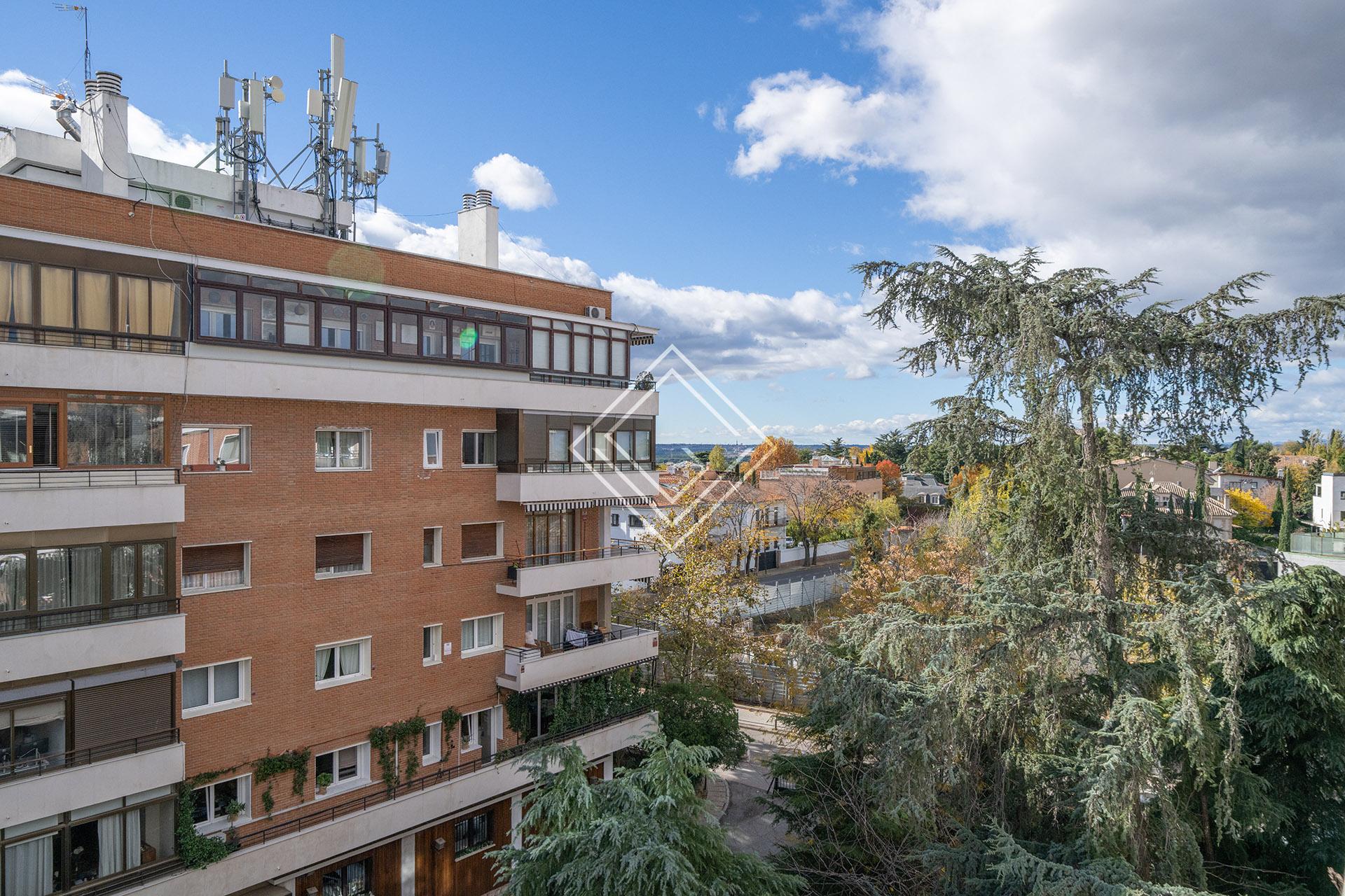 Imagen 29 de la propiedad