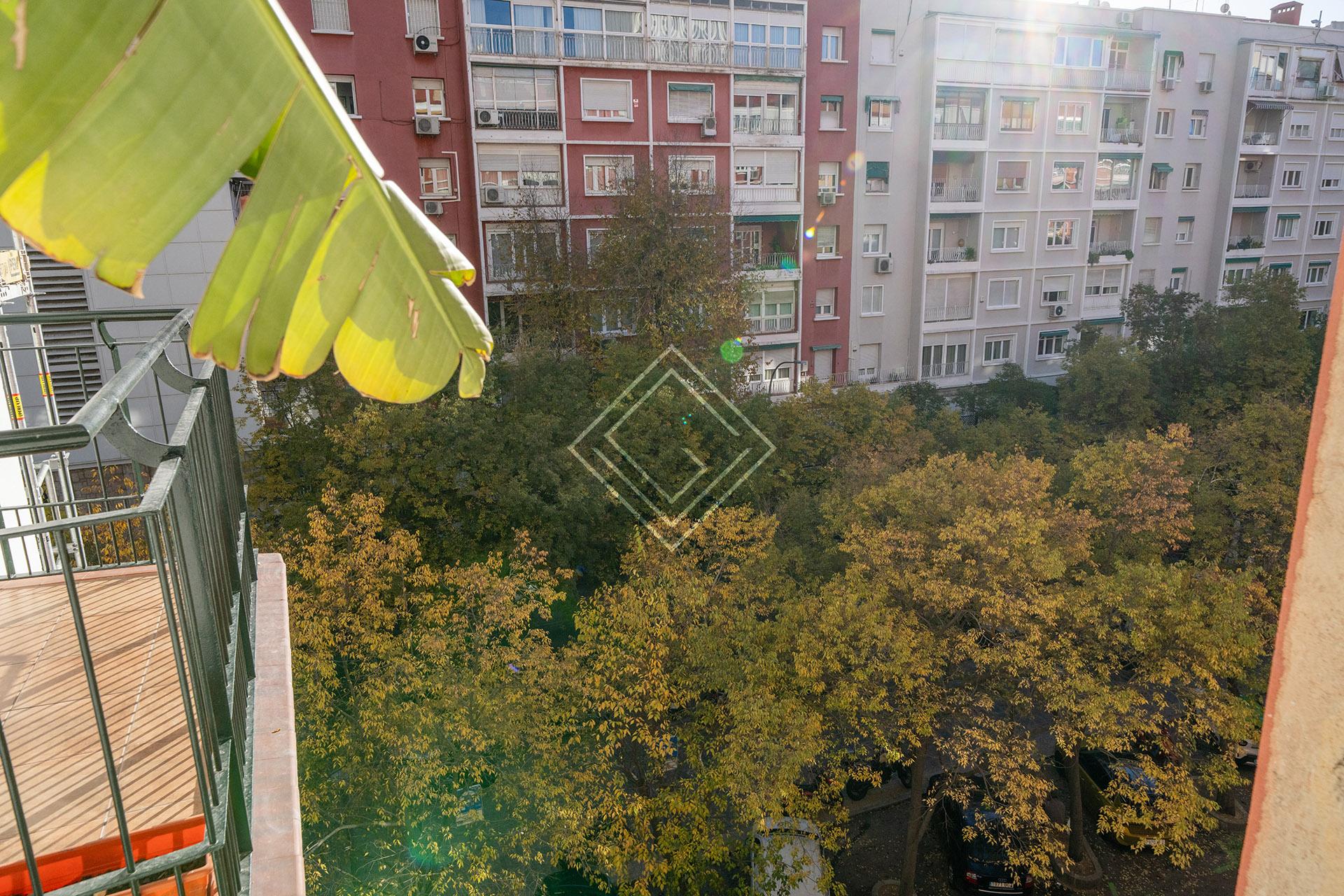 Imagen 24 de la propiedad