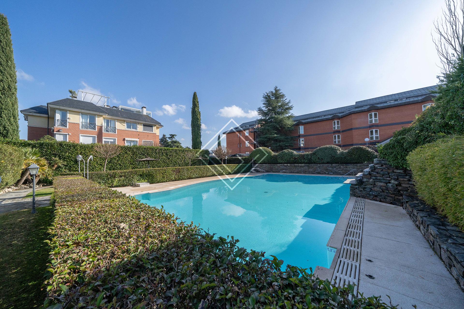 Imagen 43 de la propiedad