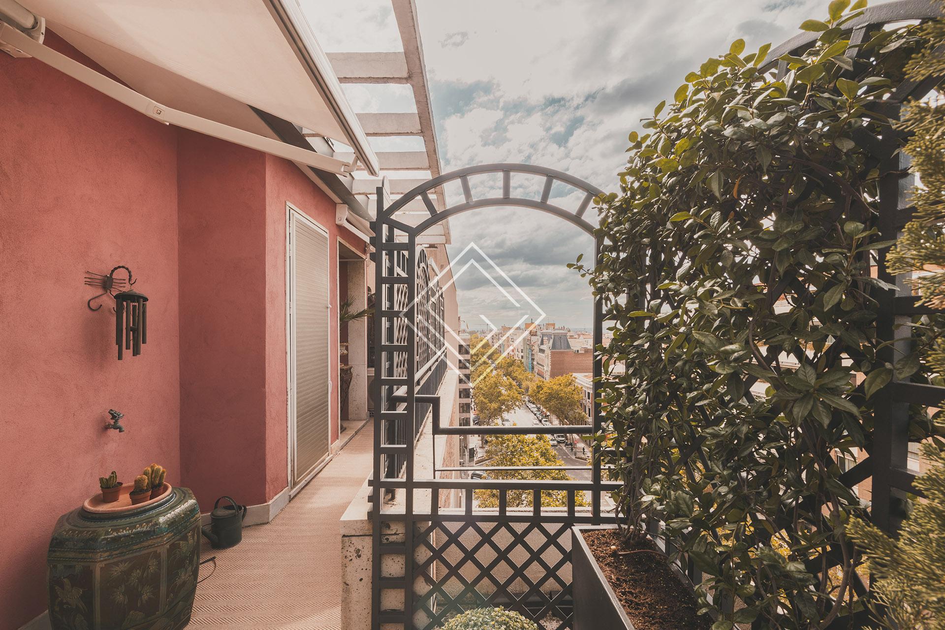 Imagen 55 de la propiedad