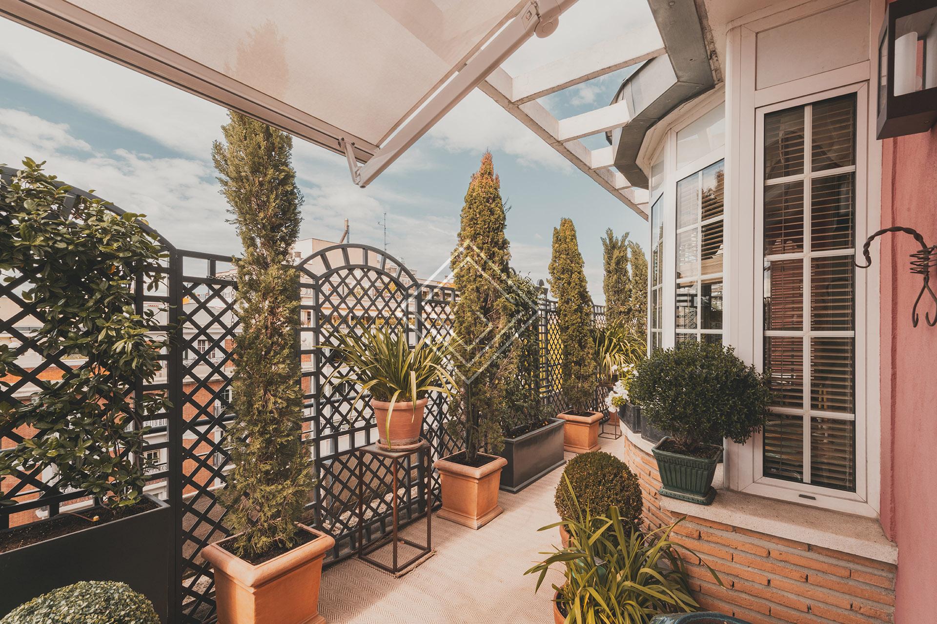 Imagen 57 de la propiedad