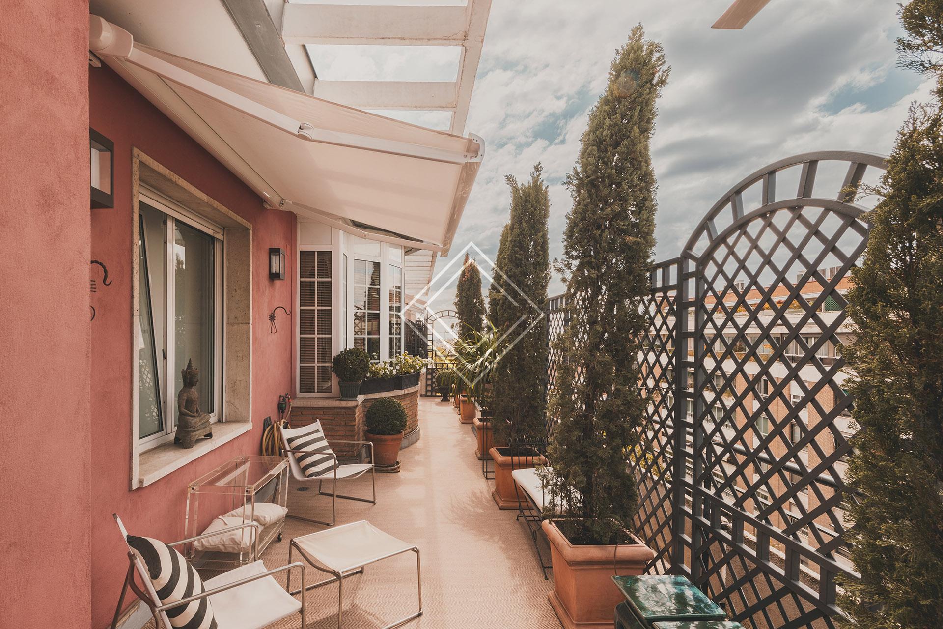 Imagen 58 de la propiedad