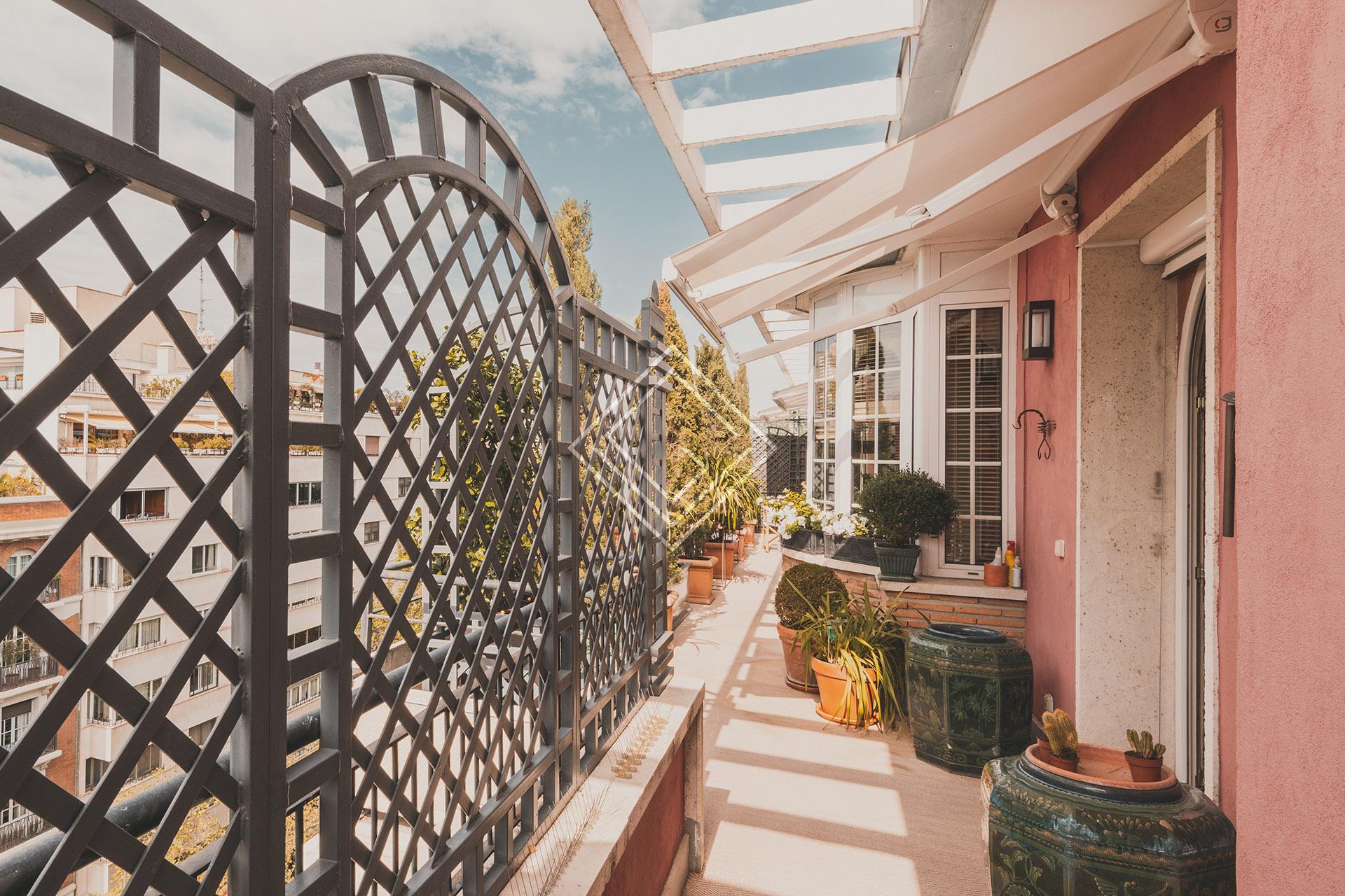 Imagen 40 de la propiedad