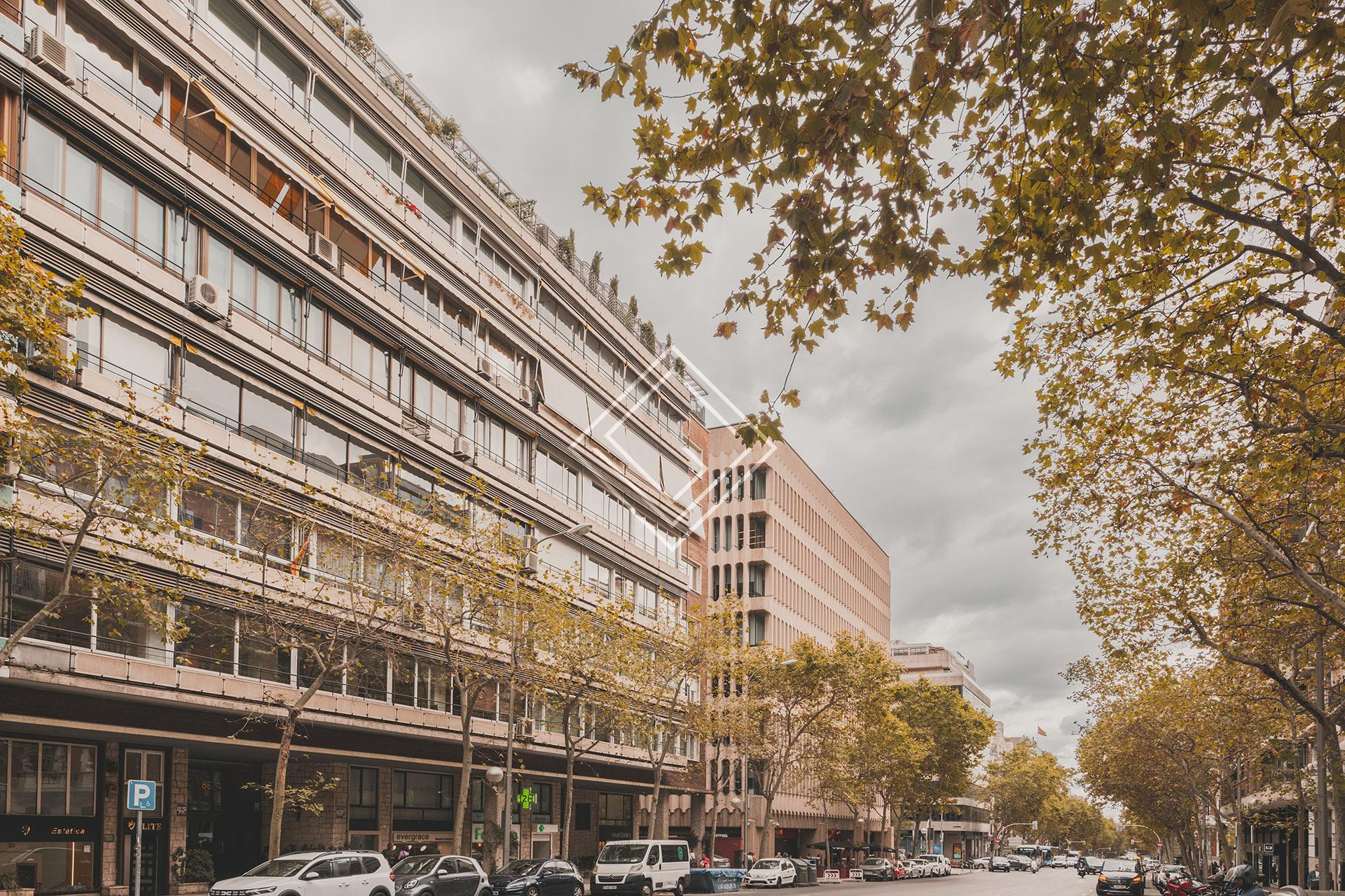 Imagen 140 de la propiedad