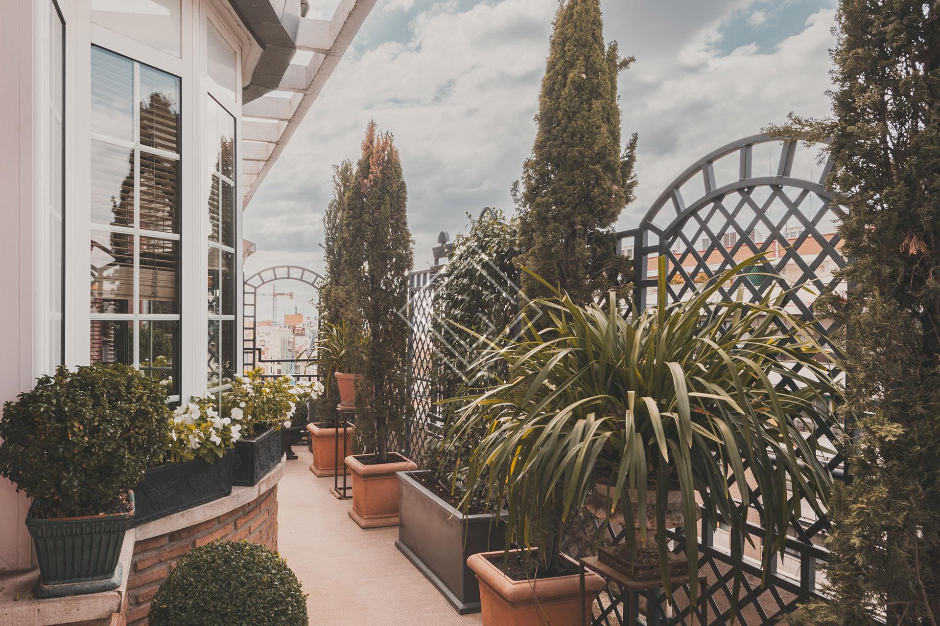 Imagen 59 de la propiedad