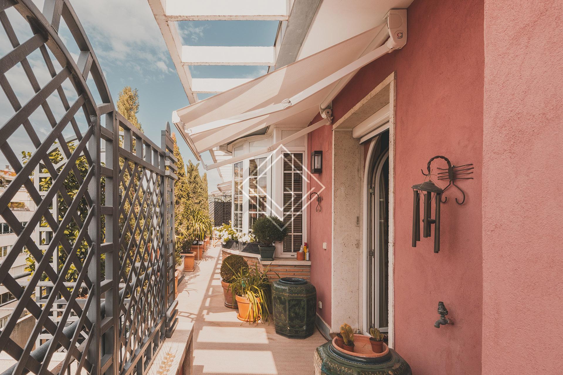 Imagen 41 de la propiedad