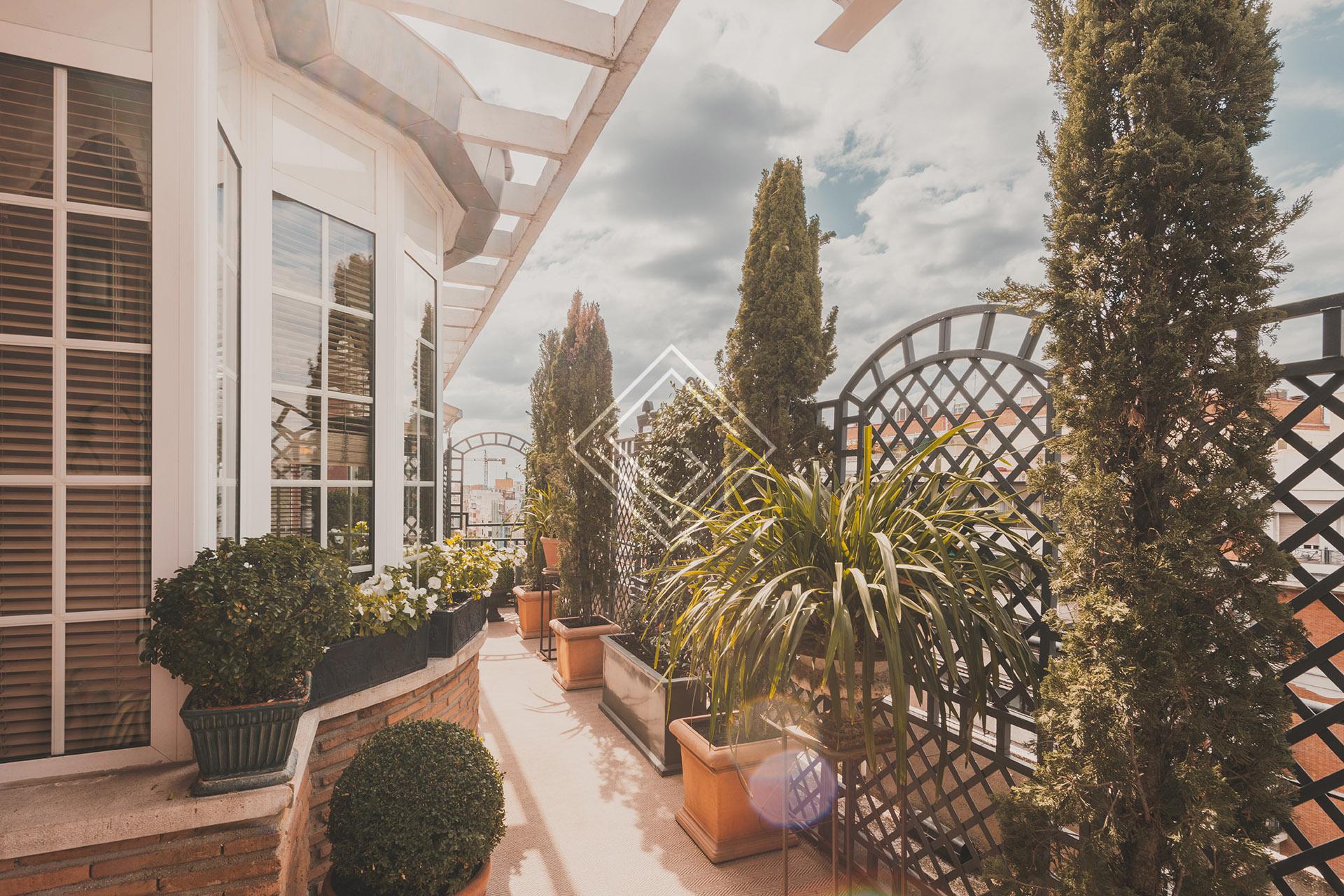 Imagen 51 de la propiedad