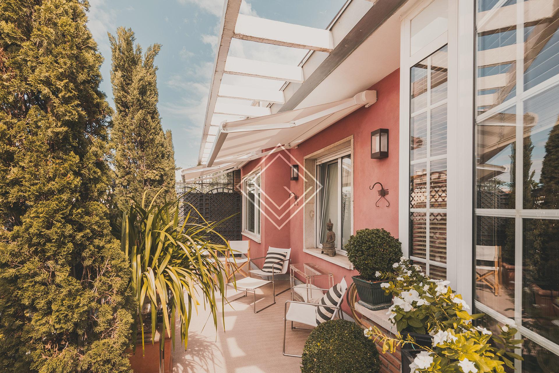 Imagen 45 de la propiedad