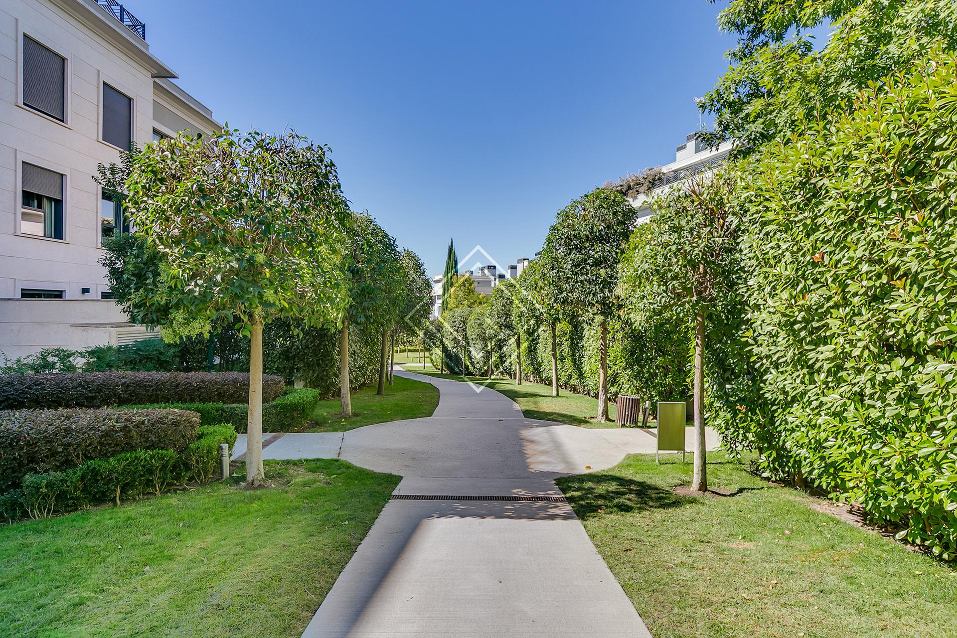 Imagen 46 de la propiedad