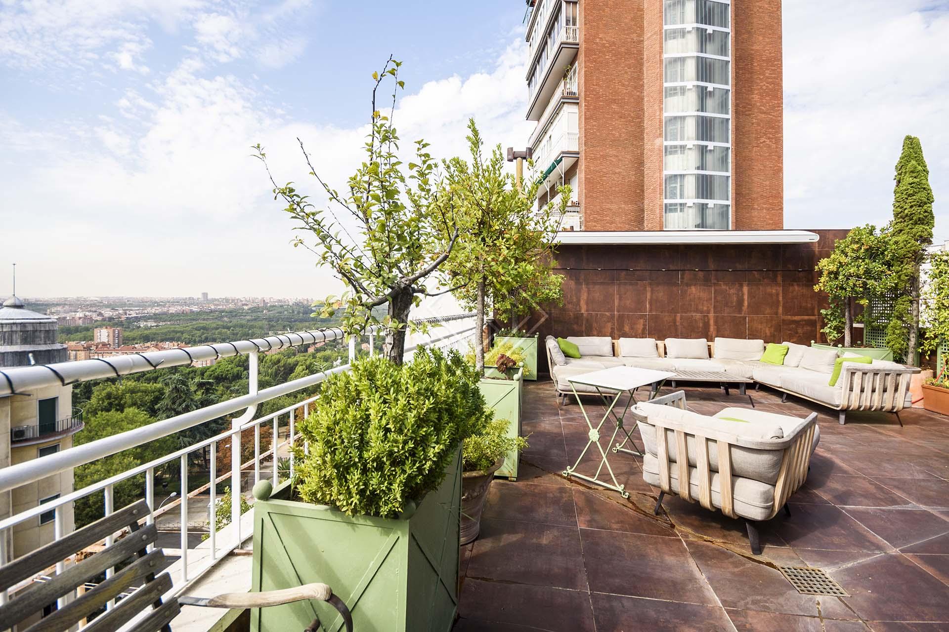 Imagen 7 de la propiedad