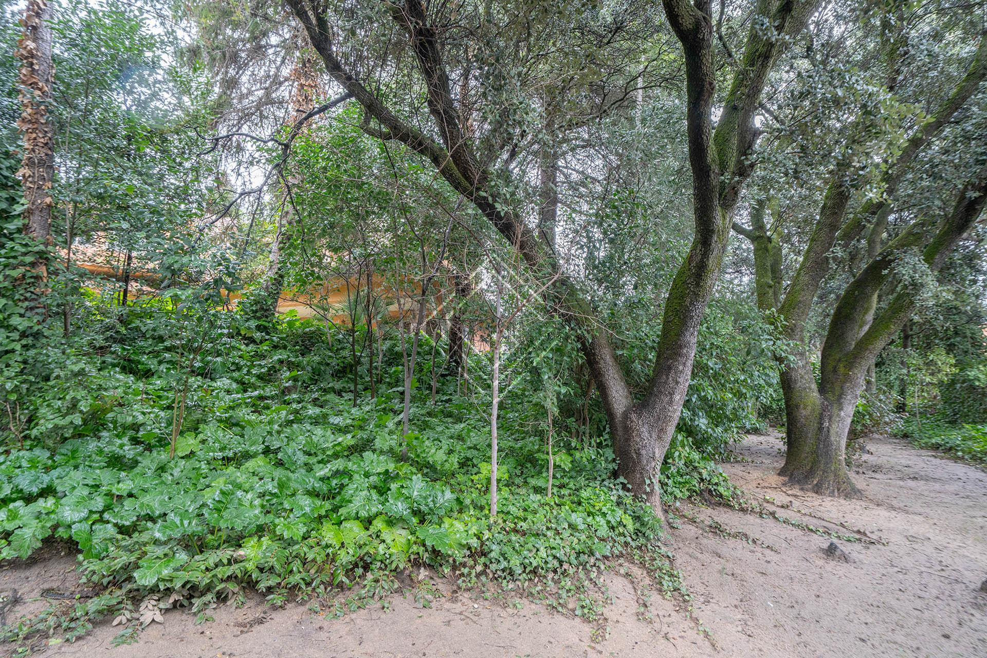 Imagen 49 de la propiedad