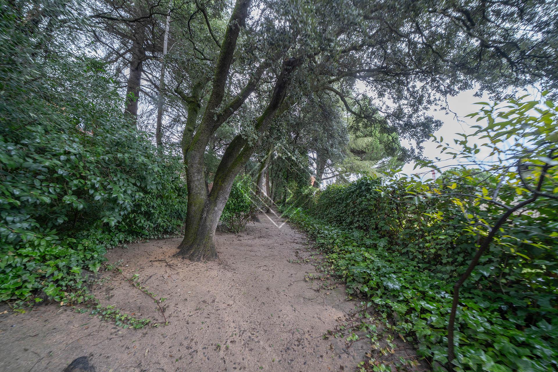 Imagen 50 de la propiedad