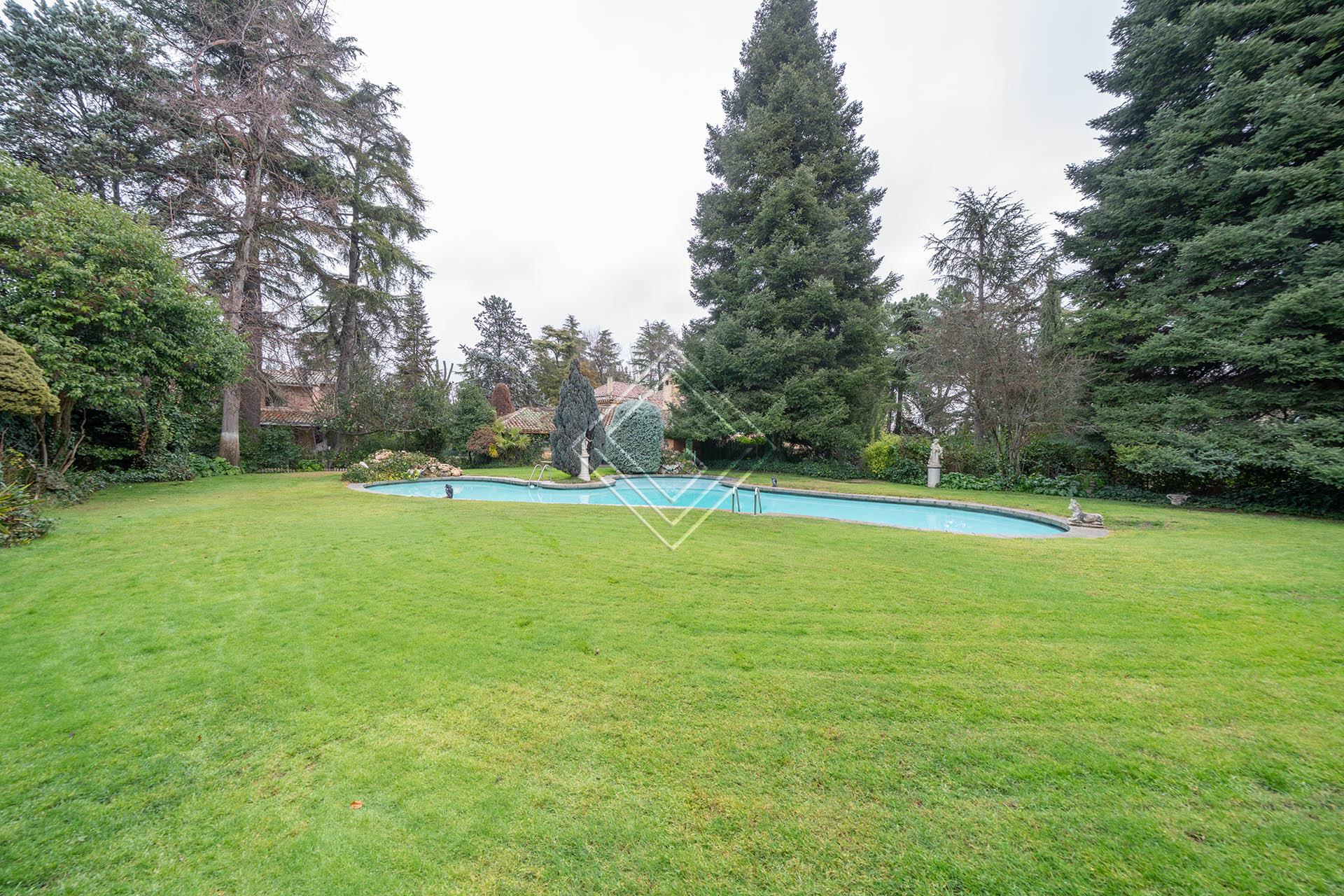 Imagen 35 de la propiedad