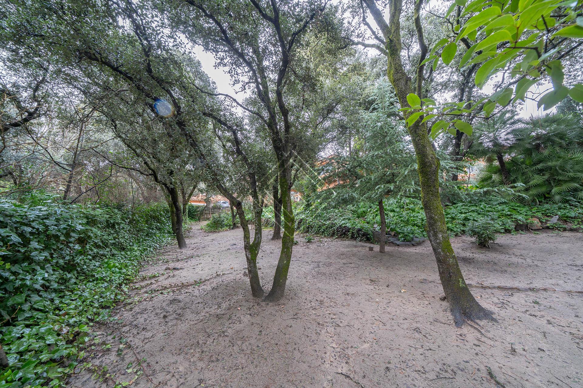 Imagen 45 de la propiedad