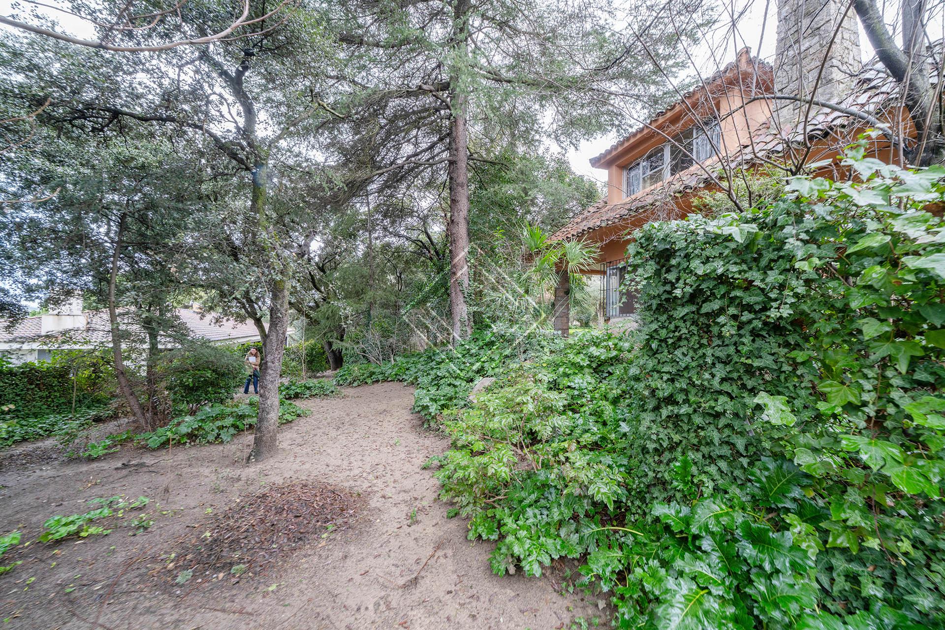 Imagen 56 de la propiedad