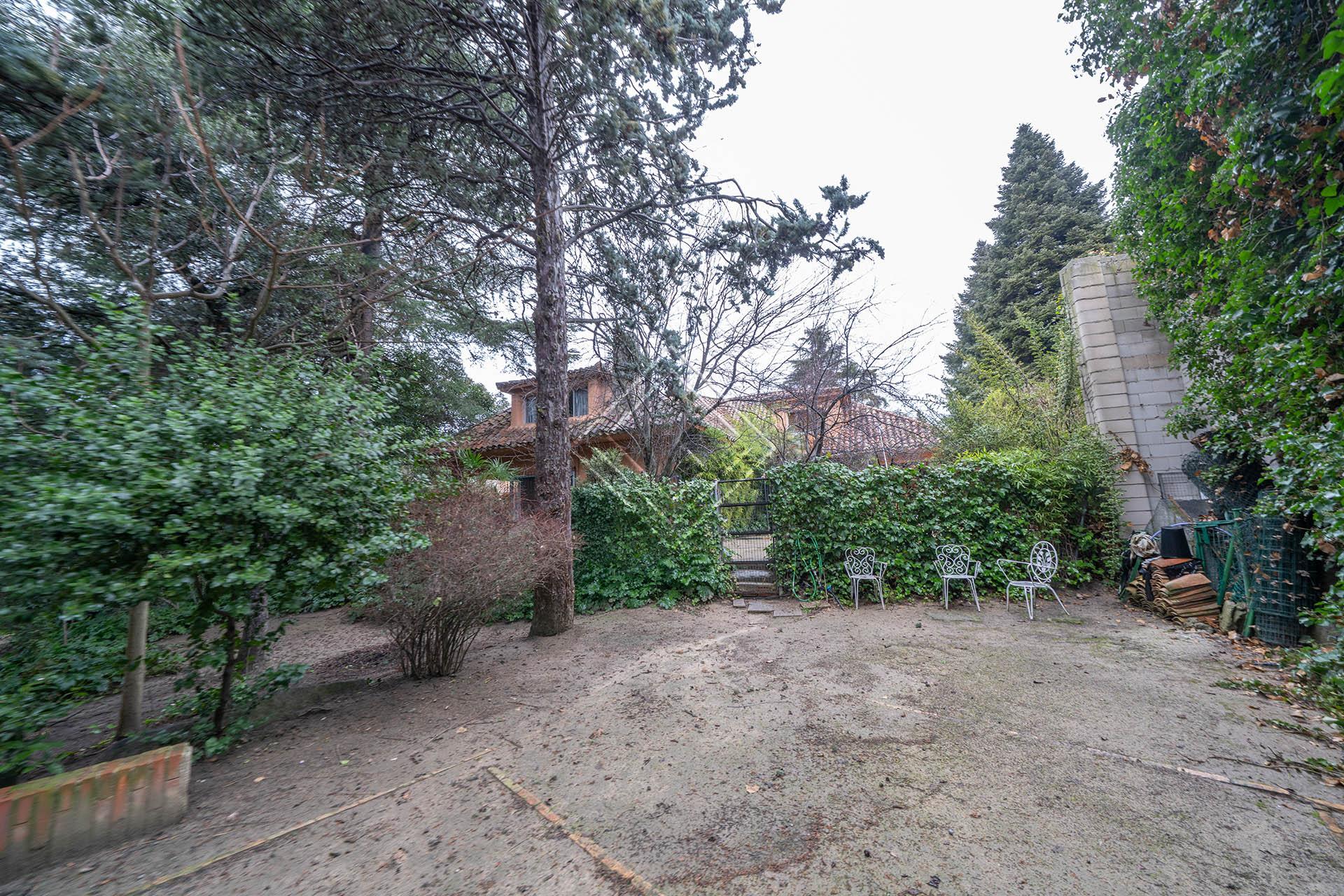 Imagen 54 de la propiedad