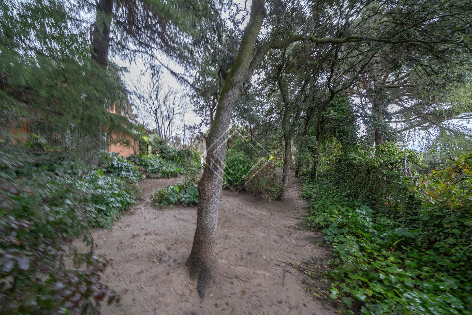 Imagen 51 de la propiedad