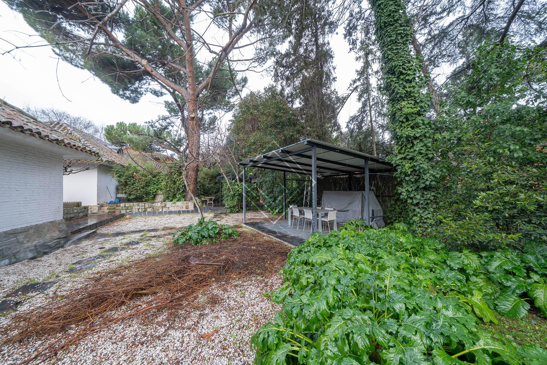 Imagen 41 de la propiedad