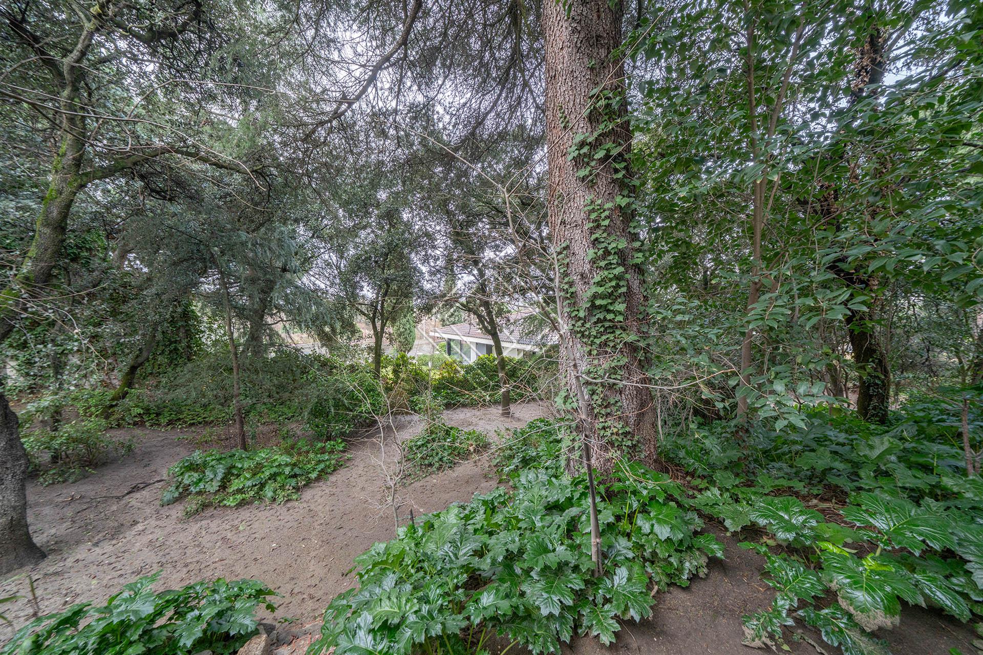 Imagen 23 de la propiedad