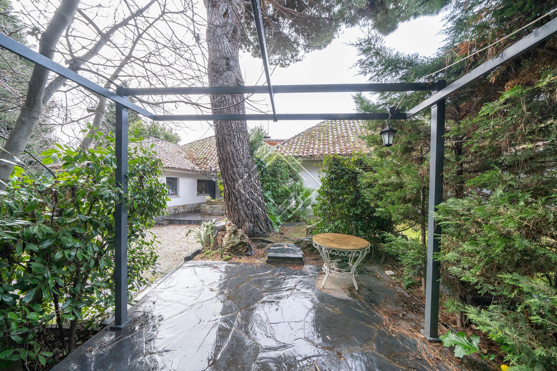 Imagen 36 de la propiedad