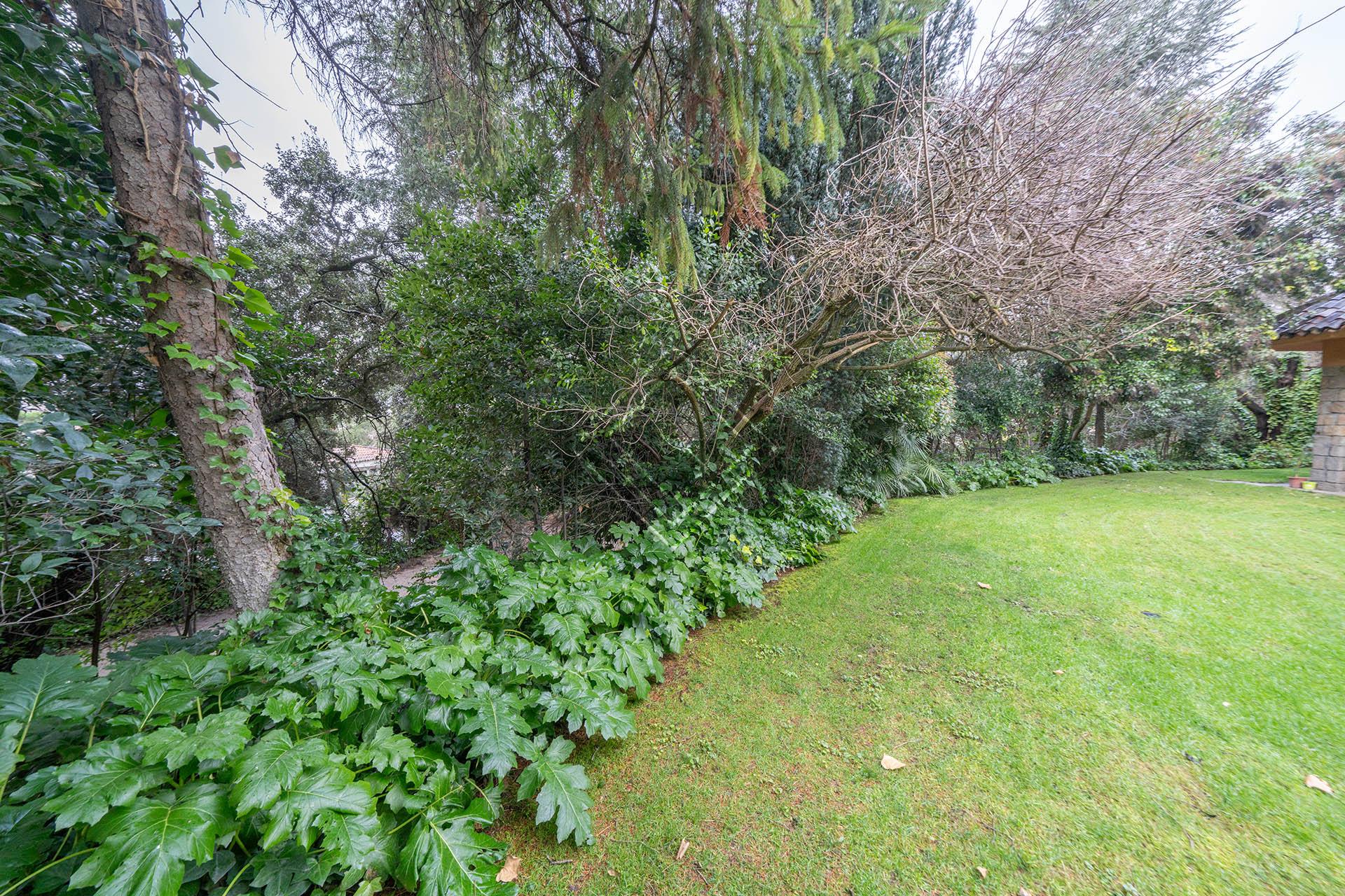 Imagen 45 de la propiedad